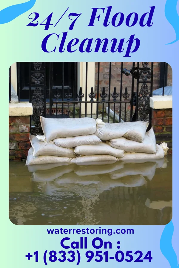 24/7 Flood Cleanup in Dixmoor, IL