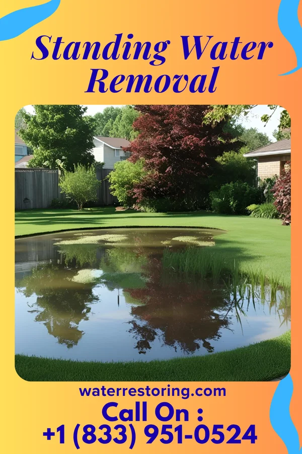 Standing Water Removal in Dixmoor, IL